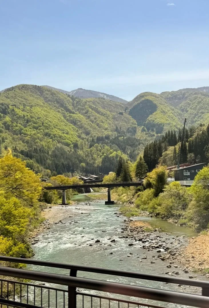 新緑の山あいを流れる清流と小さな橋